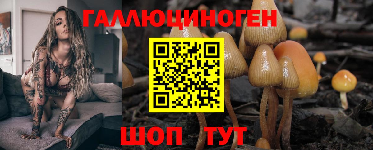Псилоцибиновые грибы GOLDEN TEACHER  Вход с VPN  Псилоцибиновые грибы ЛСД  Шумерля 