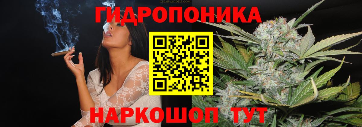 Шишки марихуана Ganja Шумерля